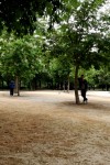 IMG_20170504_161538