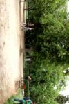 IMG_20170504_161707