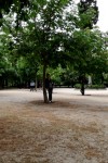 IMG_20170504_161721