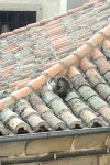 IMG_20170505_081427