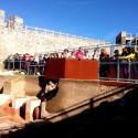 SALIDA_ARACENA_ALAJAR_11
