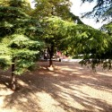 SALIDA_ARACENA_ALAJAR_50