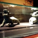 TERRACOTA_ARMY_71
