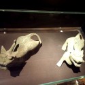 TERRACOTA_ARMY_72
