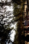 20161020_114859