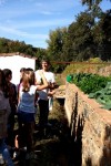 20161020_120622