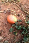 20161020_140950