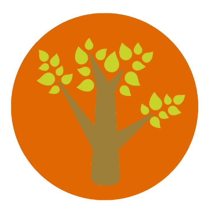 INTELIGENCIA NATURALISTA