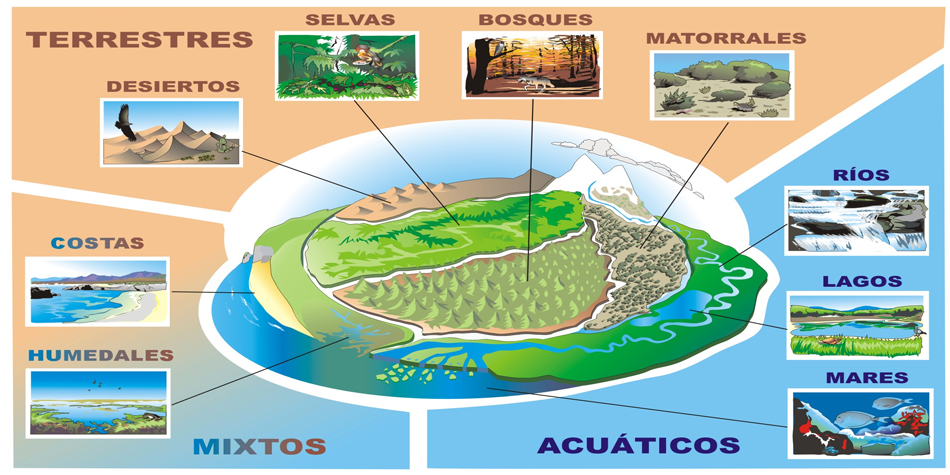 ecosistemas2