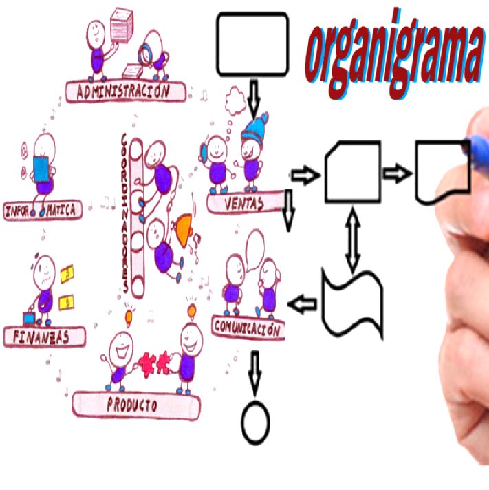 ORGANIGRAMA